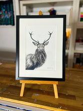 ‘Stag’ pen & ink sketch - framed