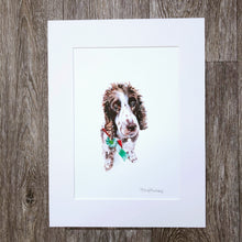 Commission a Pet Portrait, - Sally Mackness