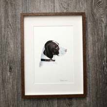 Commission a Pet Portrait, - Sally Mackness