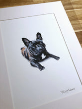 Commission a Pet Portrait, - Sally Mackness