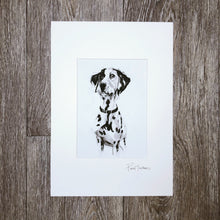 Pet Portrait - charcoal sketch - Sally Mackness