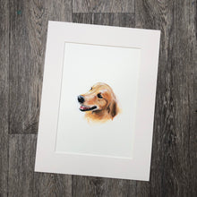 Commission a Pet Portrait, - Sally Mackness