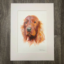 Commission a Pet Portrait, - Sally Mackness