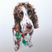 Commission a Pet Portrait, - Sally Mackness